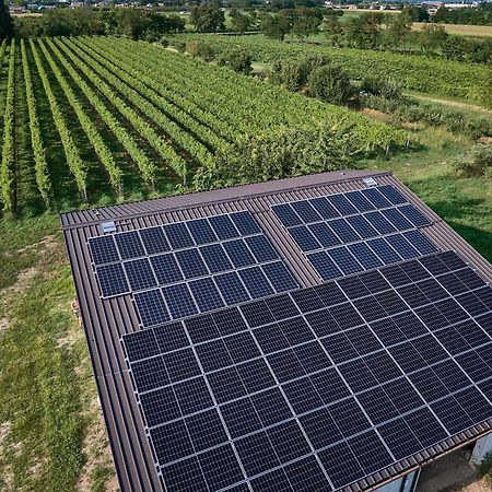 Agriturismo Zappare Farm Hotel Trevignano Eksteriør bilde