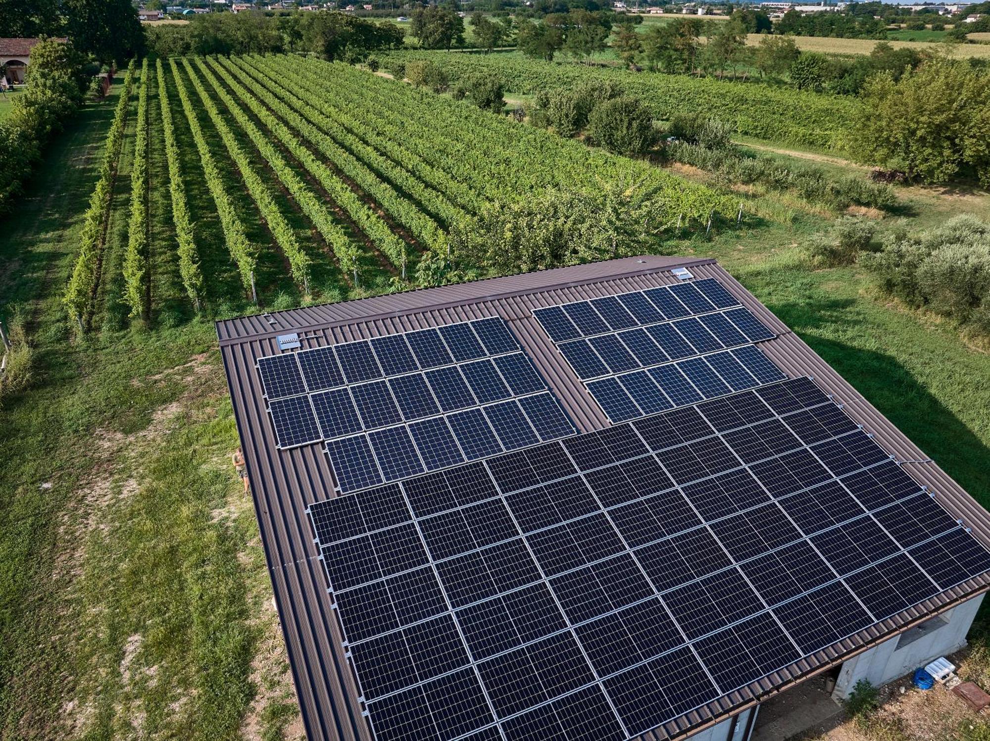 Agriturismo Zappare Farm Hotel Trevignano Eksteriør bilde